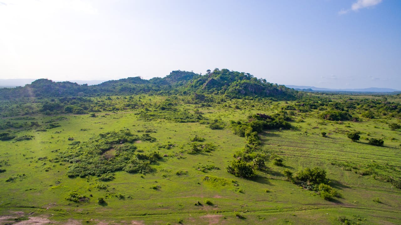 Sale of Lands